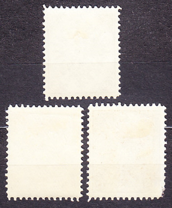 BOSNA A HERCEGOVINA 1900, Michel 11-12, 14, * čisté. ERBY.