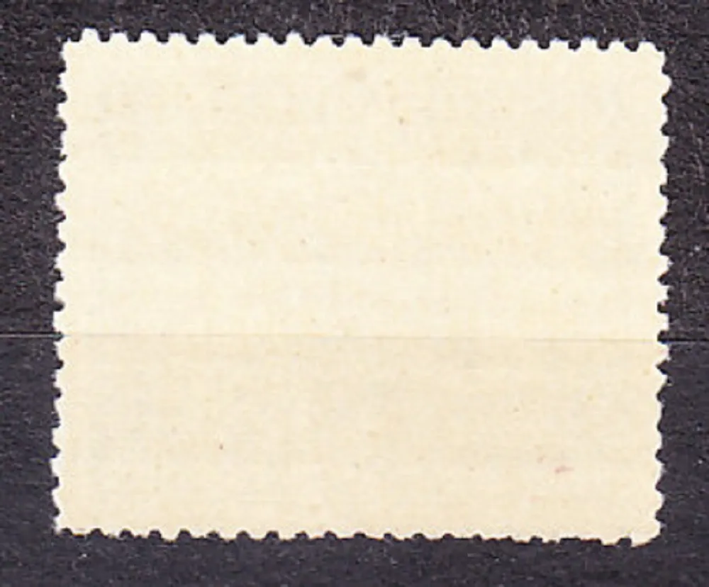 ČSR 1936, Pofis 313, ** čistá. KRAJINY, HRADY, MESTÁ.