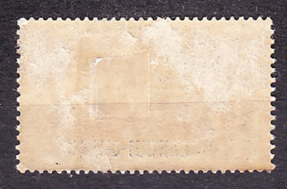 OUBANGUI CHARI 1924, Michel 44, * čistá. KOLÓNIE. LEOPARD - PRETLAČE.