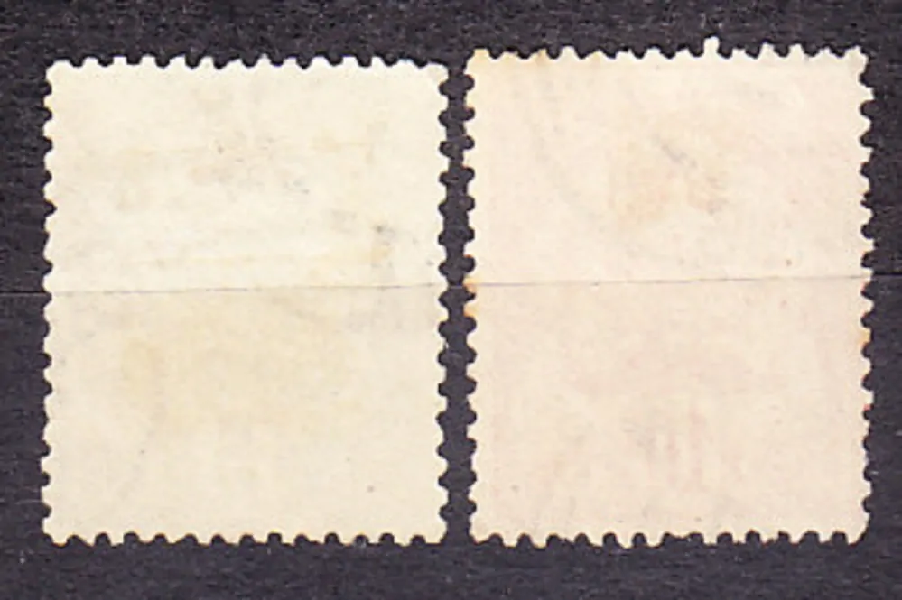 TUNISKO 1893, Michel 18, 20, razené. KOLÓNIE. ERBY.