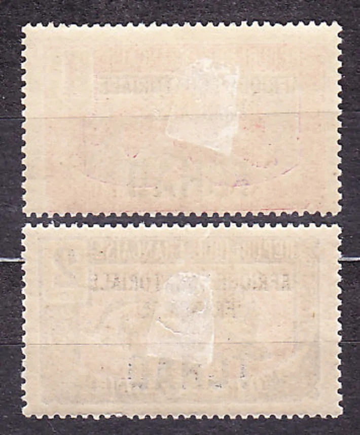 ČAD 1924, Michel 19-20, * čisté. KOLÓNIE. LEOPARD - PRETLAČE.