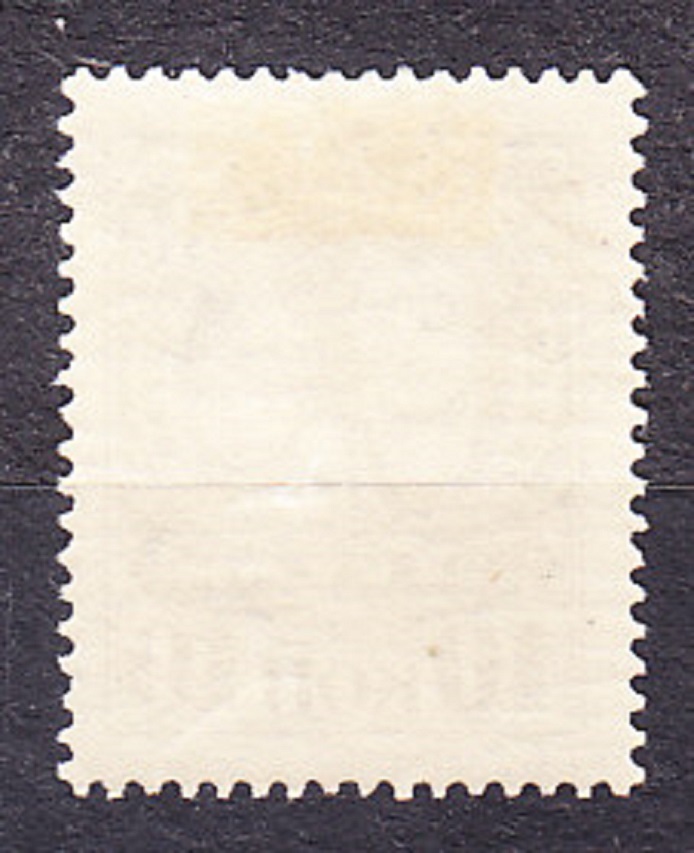 ZSSR 1926, Michel 313 Z, razená. NA POMOC DEŤOM.