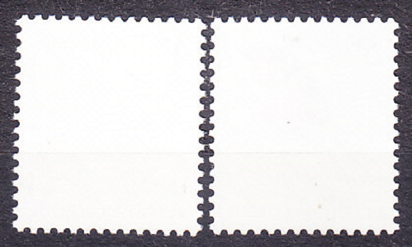 BELGICKO 1996, Michel 2526-2527, ** čisté. VTÁCTVO.