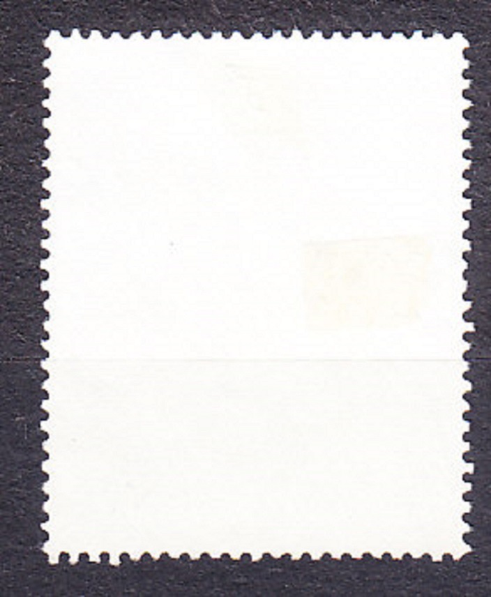 SOLOMON ISLANDS 1991, Michel 746, razená. CHROBÁKY.