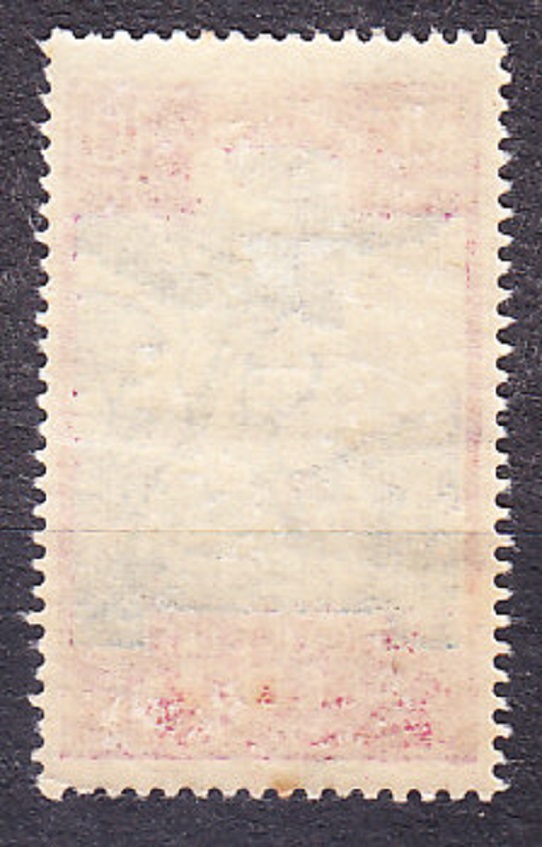 NOVÁ KALEDÓNIA 1928, Michel 22, * čistá. KOLÓNIE. DOPLATNÉ. JELEŇ.