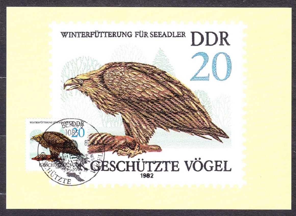 NDR 1982, Michel 2702-2705, kompletná séria - MAXIKARTY. VTÁCTVO - DRAVCE.