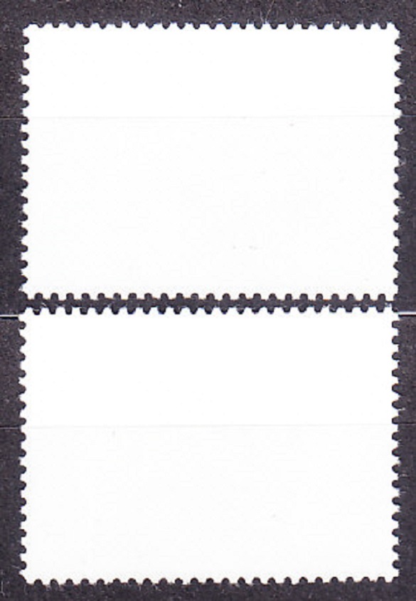 OSN ( NEW YORK ) 1981, Michel 389-390, razená séria. ROZVOJOVÝ PROGRAM.