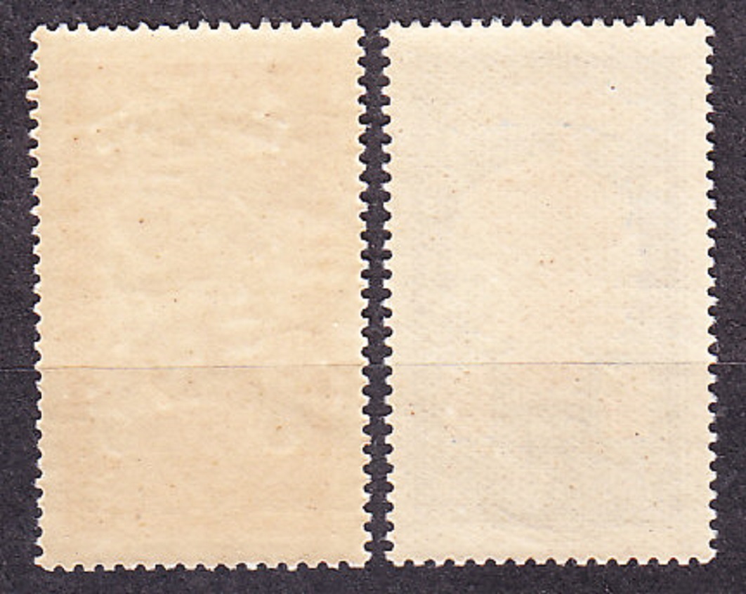 MARTINIQUE 1922, Michel 84, 88, ** čisté. KOLÓNIE. DOMORODKYŇA.