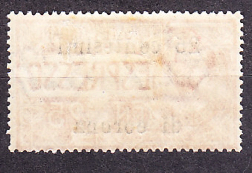TALIANSKO - BENÁTKY, TRENTINO 1919, Michel 12, * čistá. SÚRNE.
