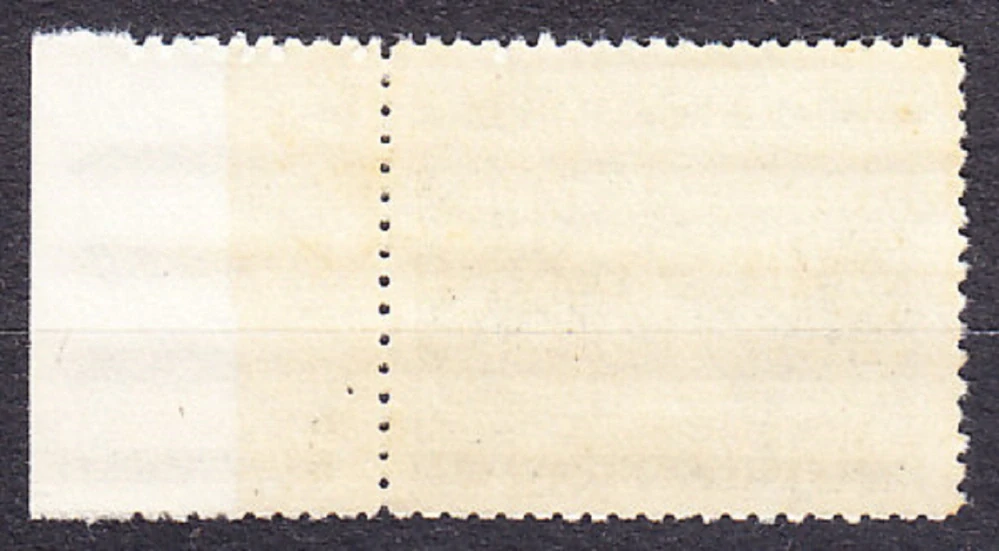 PROTEKTORÁT 1939, Pofis 45, ** čistá s pravým kupónom ( ** ). KRAJINY, HRADY, MESTÁ - BECHYNĚ.