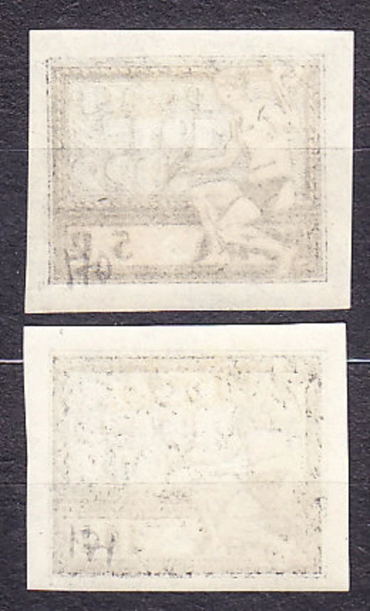 RUSKO 1922, Michel 195-196, * čisté. VOSR.