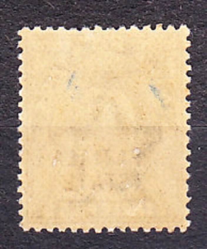PATIALA 1903, Michel 30, * čistá. KOLÓNIE. KRÁĽ EDWARD VII.