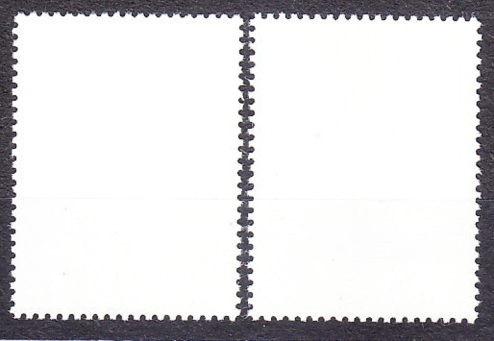 DŽIBUTSKO 1991, Michel 547-548, razená séria. MORSKÉ KORALY.