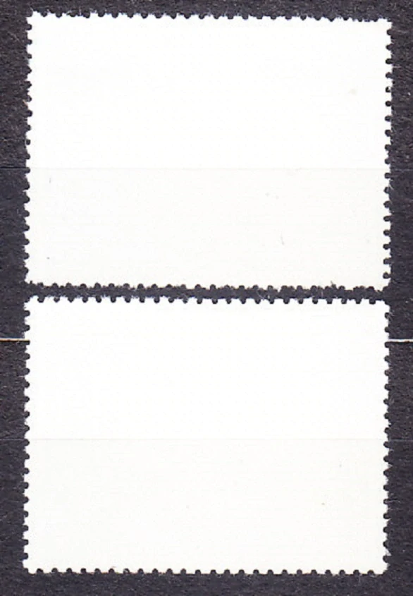 DŽIBUTSKO 1989, Michel 516-517, razená séria. MORSKÉ KORALY A LASTÚRY.