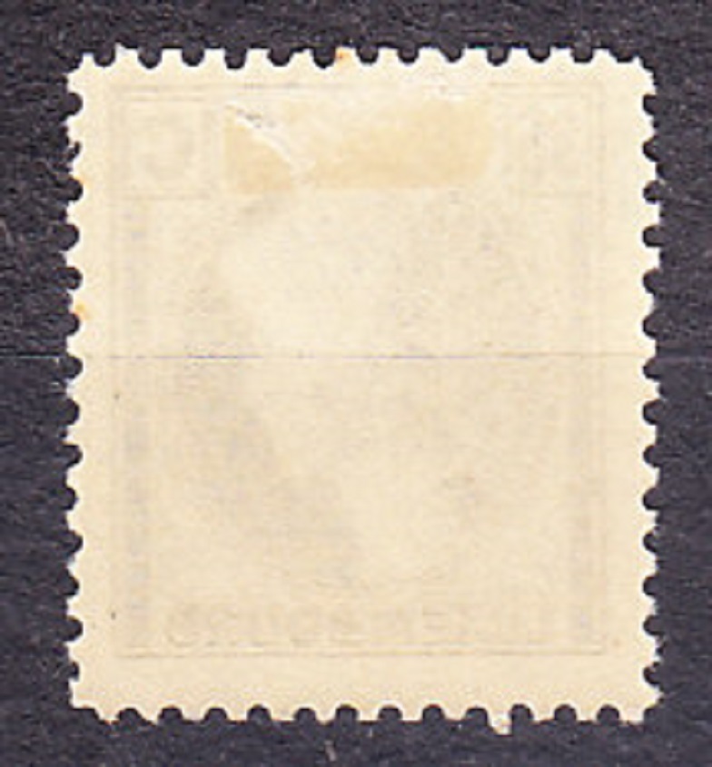 LUXEMBURSKO 1928, Michel 206, * čistá. VEĽKOVOJVODKYŇA CHARLOTTE.