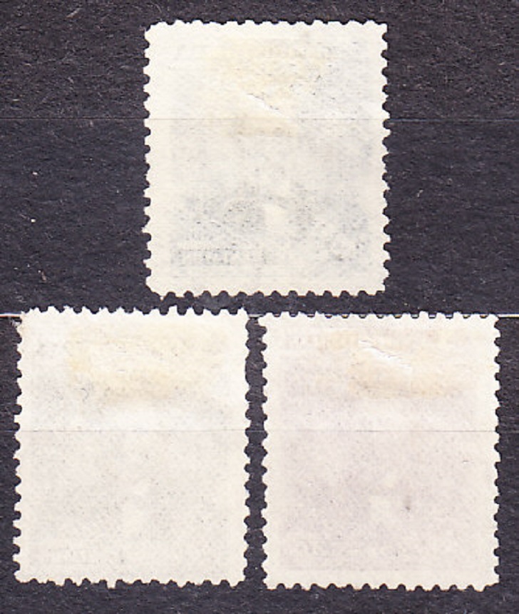 HONDURAS 1893, Michel 65-66, 68, razené. PREZIDENT T. CABAŇAS.