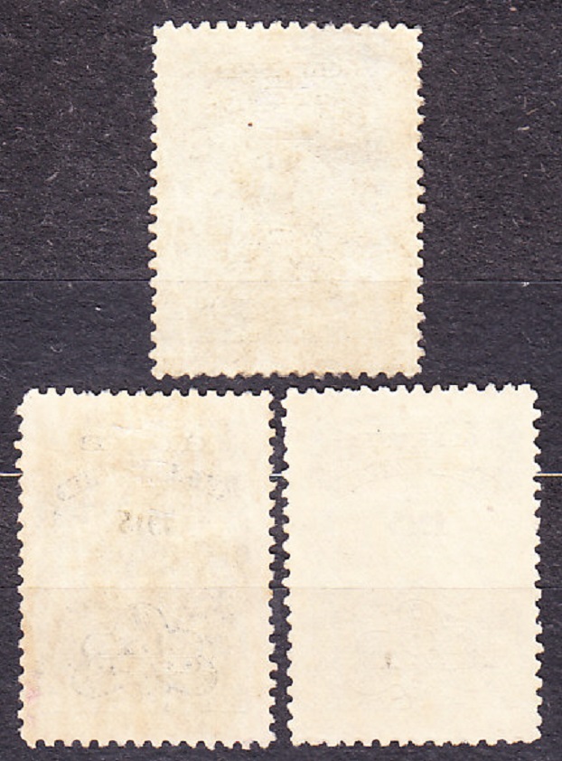 SALVADOR 1915, Michel 346, 348-349, razené. NÁRODNÝ PALÁC - PRETLAČ.