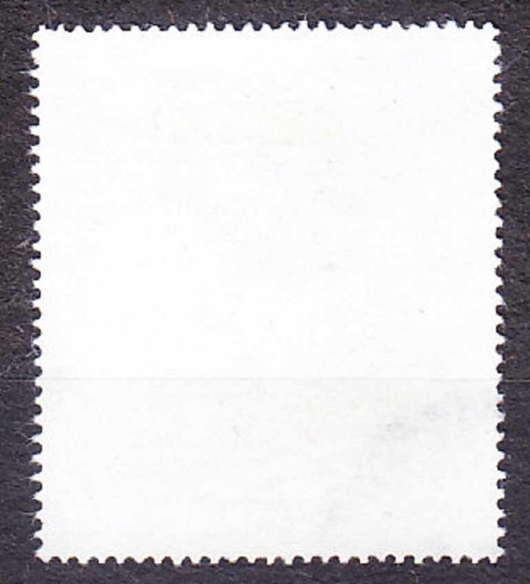 SALVADOR 1991, Michel 1858, razená séria. SVETOVÝ DEŇ JEDLA.