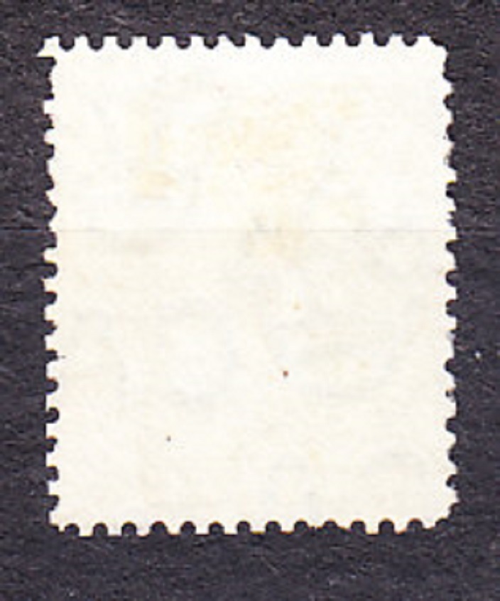 FALKLAND ISLANDS 1904, Michel 17, razená. KOLÓNIE. KRÁĽ EDWARD VII.