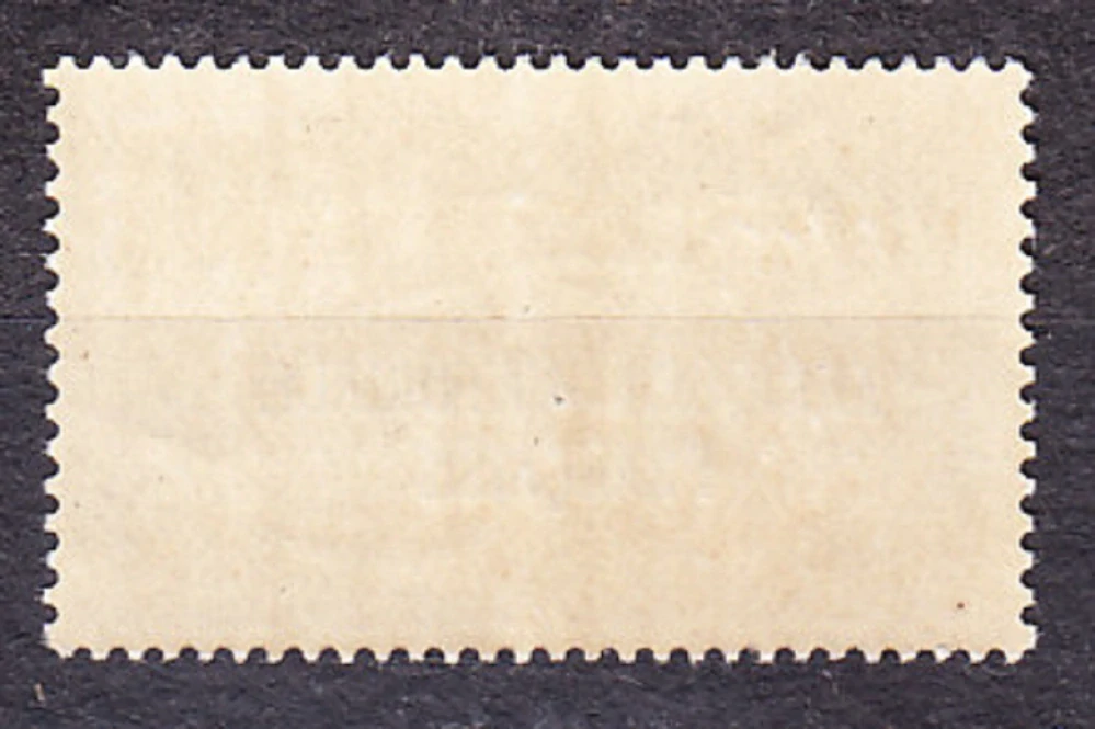 STREDNÉ KONGO 1924, Michel 25, ** čistá. KOLÓNIE. LEOPARD - PRETLAČ.