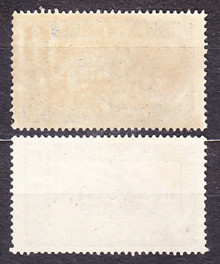 STREDNÉ KONGO 1924, Michel 27, 30, razené. KOLÓNIE. LEOPARD - PRETLAČE.