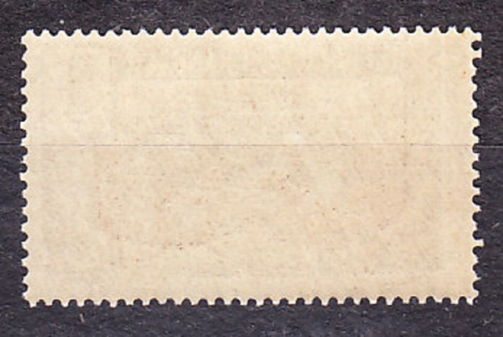 STREDNÉ KONGO 1907, Michel 1, ** čistá. KOLÓNIE. LEOPARD.