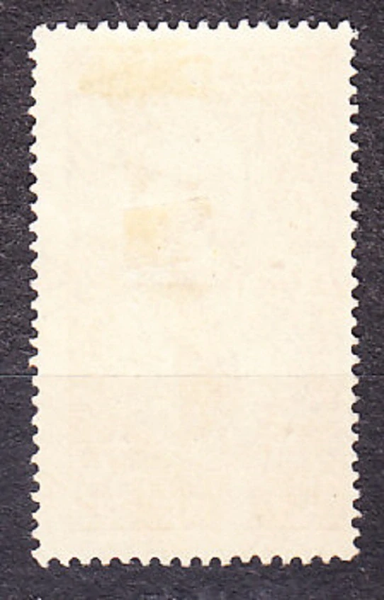 STREDNÉ KONGO 1907, Michel 10, razená. KOLÓNIE. DOMORODKYŇA.