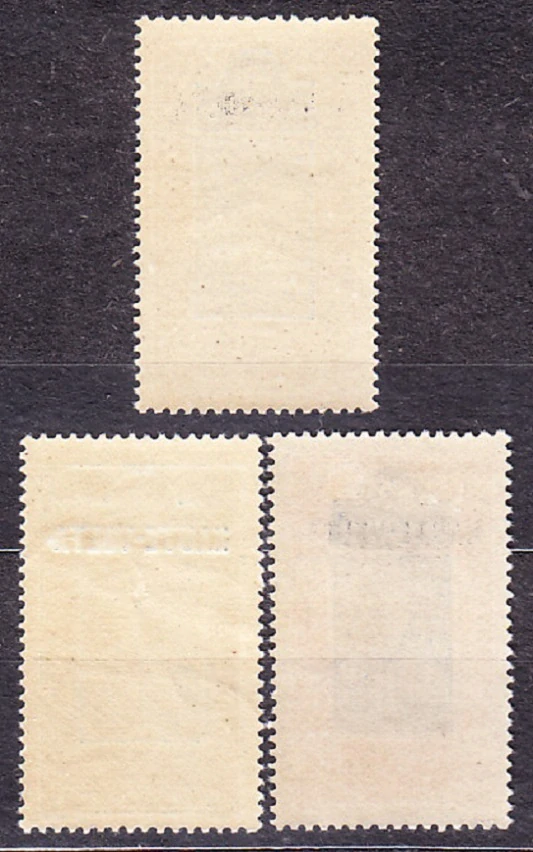 HORNÁ VOLTA 1925, Michel 31, 33-34, * čisté. KOLÓNIE. JAZDEC NA ŤAVE.