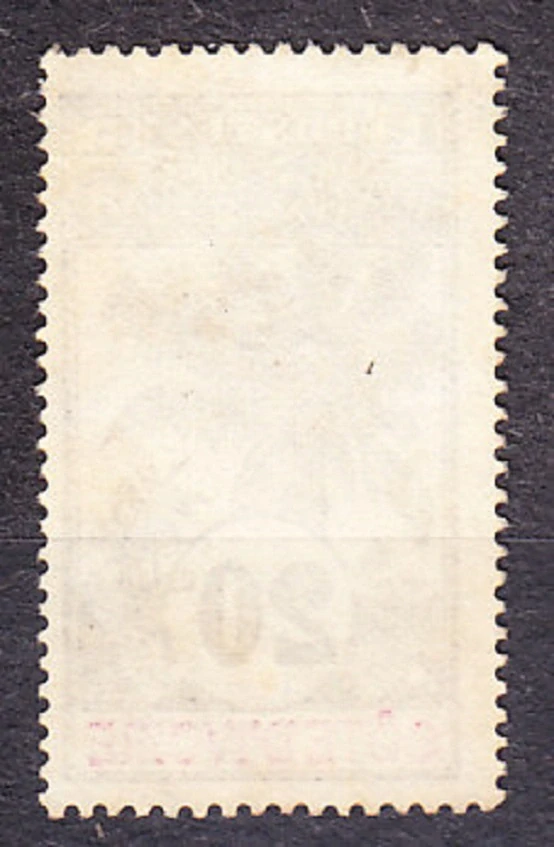 POBREŽIE SLONOVINY 1906, Michel 26, čistá bez lepu. KOLÓNIE. OLEJOVÁ PALMA.