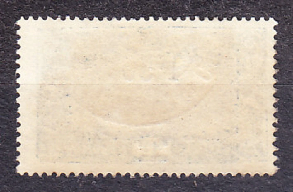 FRANCÚZSKE SOMÁLSKO 1924, Michel 134, razená. KOLÓNIE. KRAJINY - ŽELEZNIČNÝ MOST, PRETLAČ.