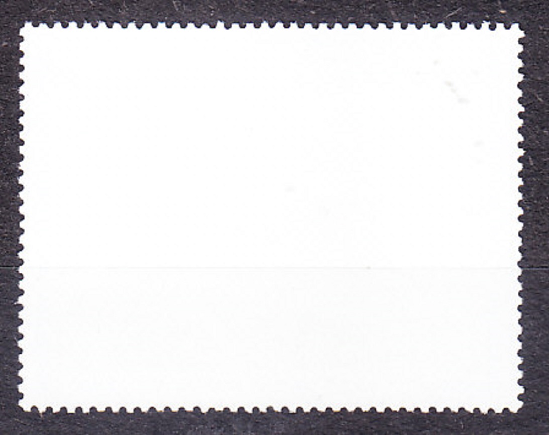 KAMERUN 1981, Michel 947, razená. LIETADLO.