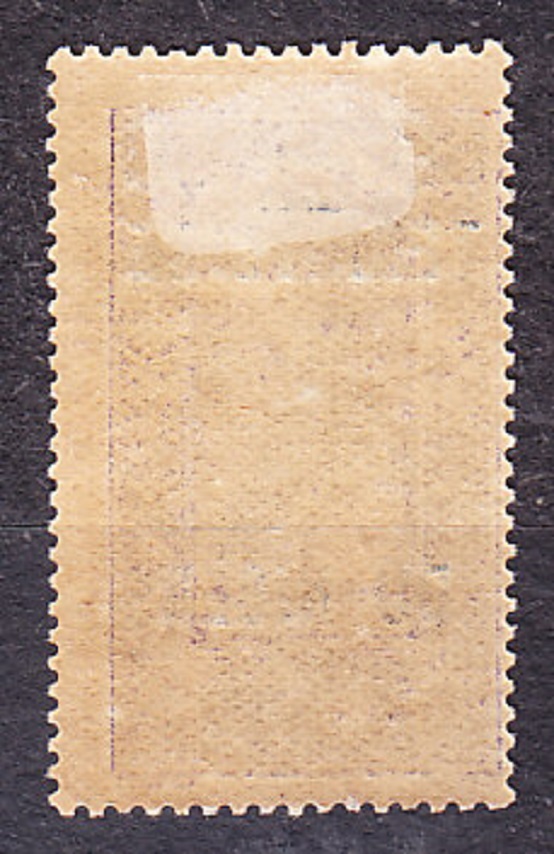 FRANCÚZSKY NIGER 1922, Michel 25, * čistá. KOLÓNIE. JAZDEC NA ŤAVE - PRETLAČE.
