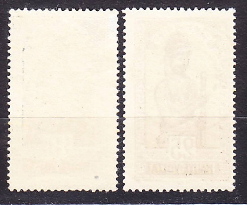 HORNÁ VOLTA 1928, Michel 47, 50, razené. KOLÓNIE. DOMORODCI.