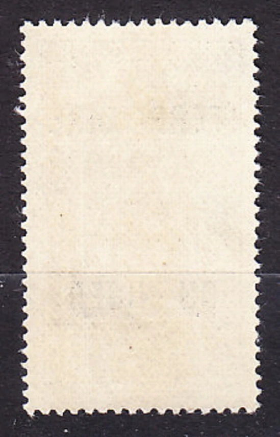 FRANCÚZSKY NIGER 1921, Michel 1, * čistá. KOLÓNIE. JAZDEC NA ŤAVE.