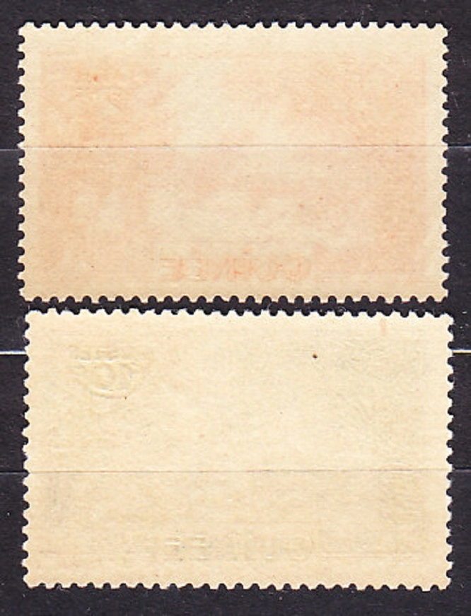 FRANCÚZSKA GUINEA 1938, Michel 128, 132, ** čisté. KOLÓNIE. KRAJINY.