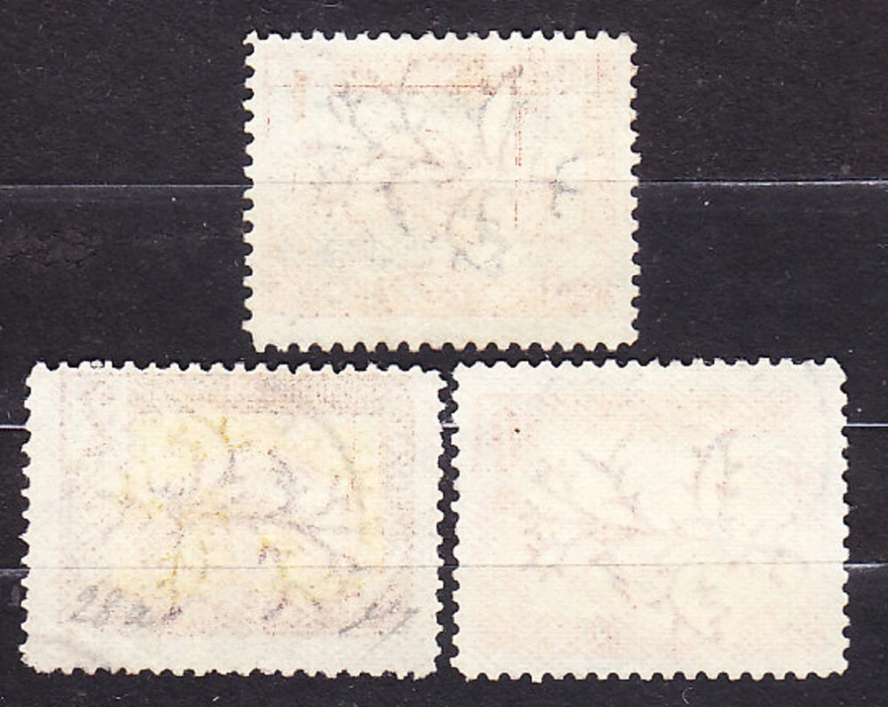 FRANCÚZSKE KONGO 1900, Michel 30-31, 34, razené. KOLÓNIE. PANTER.