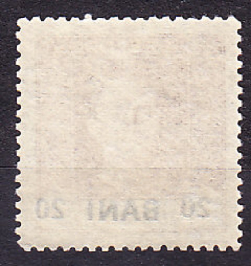 RAKÚSKO - VYDANIE PRE RUMUNSKO 1918, Michel 24, ** čistá. POĽNÁ POŠTA. KRÁĽ KARL I.