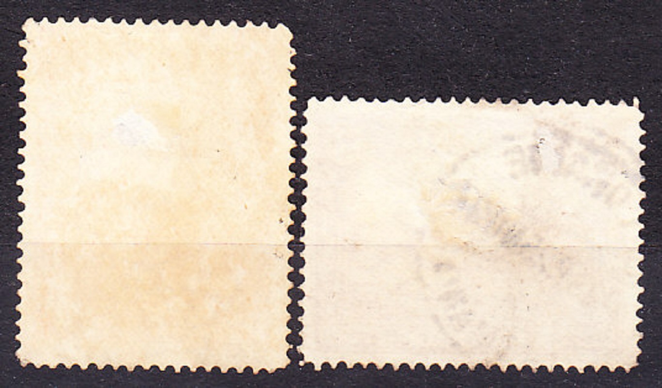 TASMANIA 1905, Michel 76-77, razené. KRAJINY.