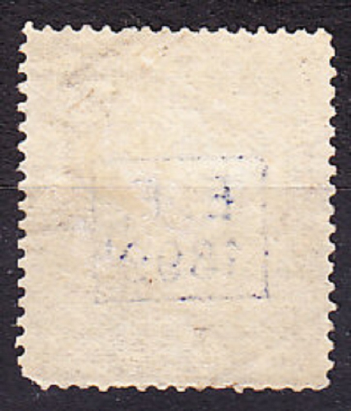 BOLÍVIA 1899, Michel 53, * čistá. ERB - PRETLAČ.