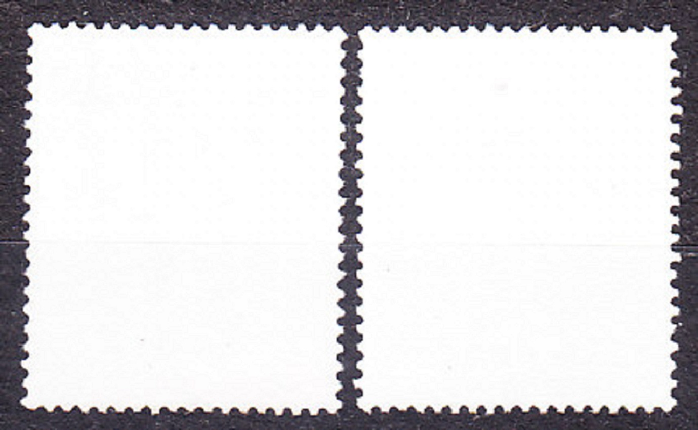 NOVÝ ZÉLAND 1991, Michel 1182-1183, razená séria. VTÁCTVO.