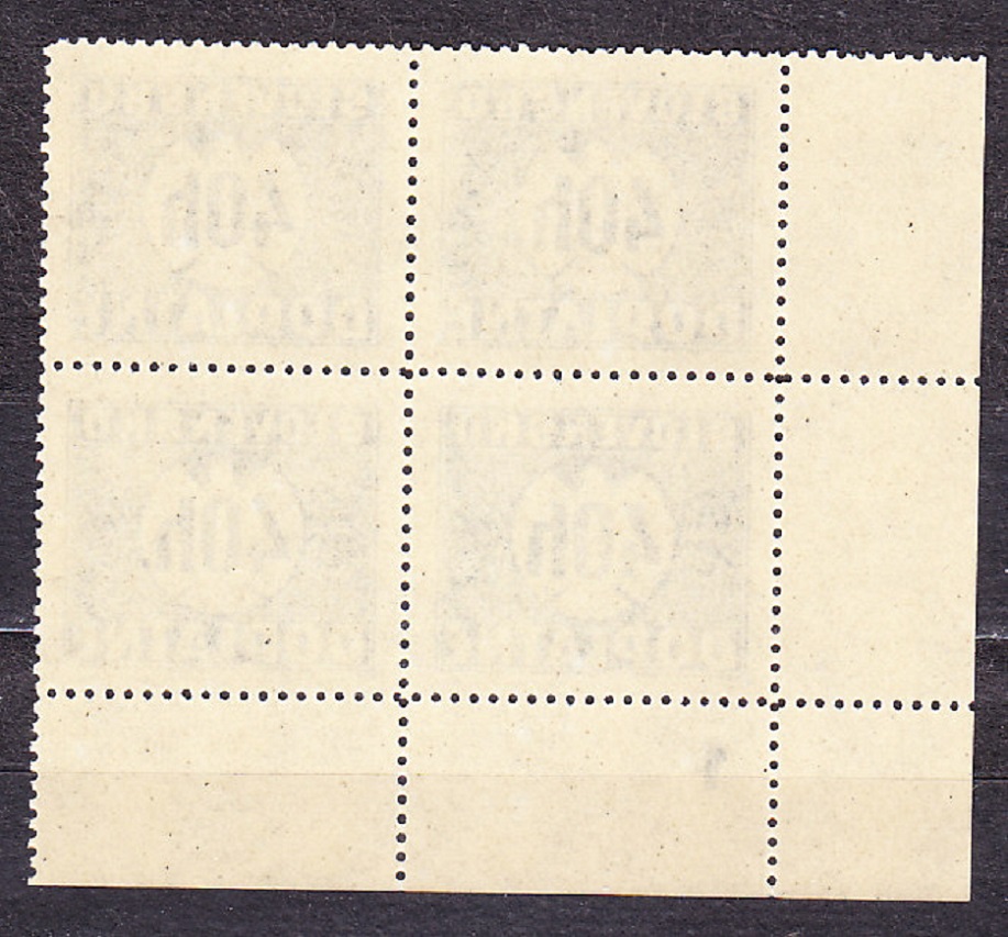 SLOVENSKÝ ŠTÁT 1940, Synek D5 Y, ** čistý rohový 4-blok ( ĽD ). DOPLATNÉ. Priesvitka P4.
