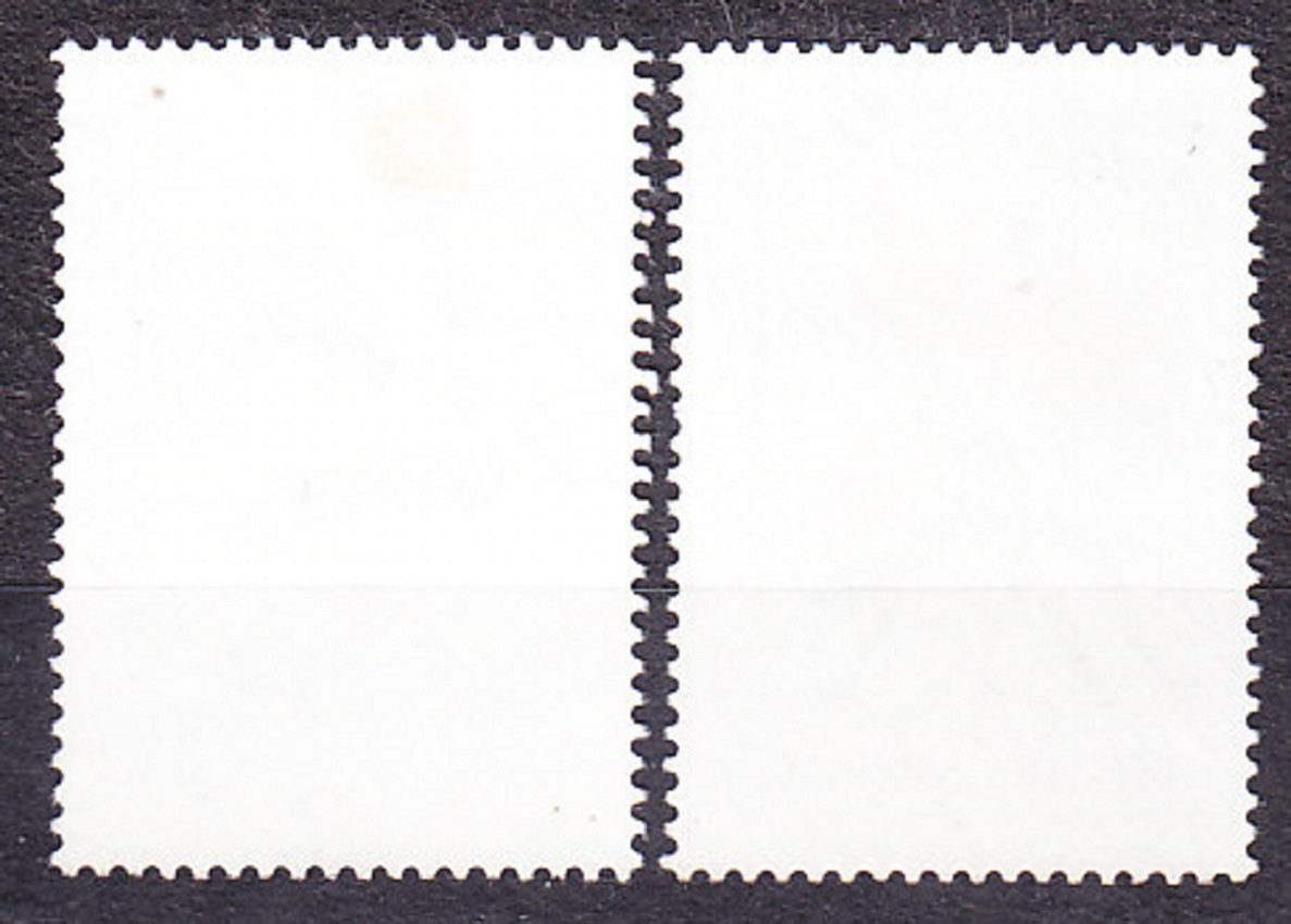 ARGENTÍNA 1983, Michel 1663-1664, razené. KVETY.