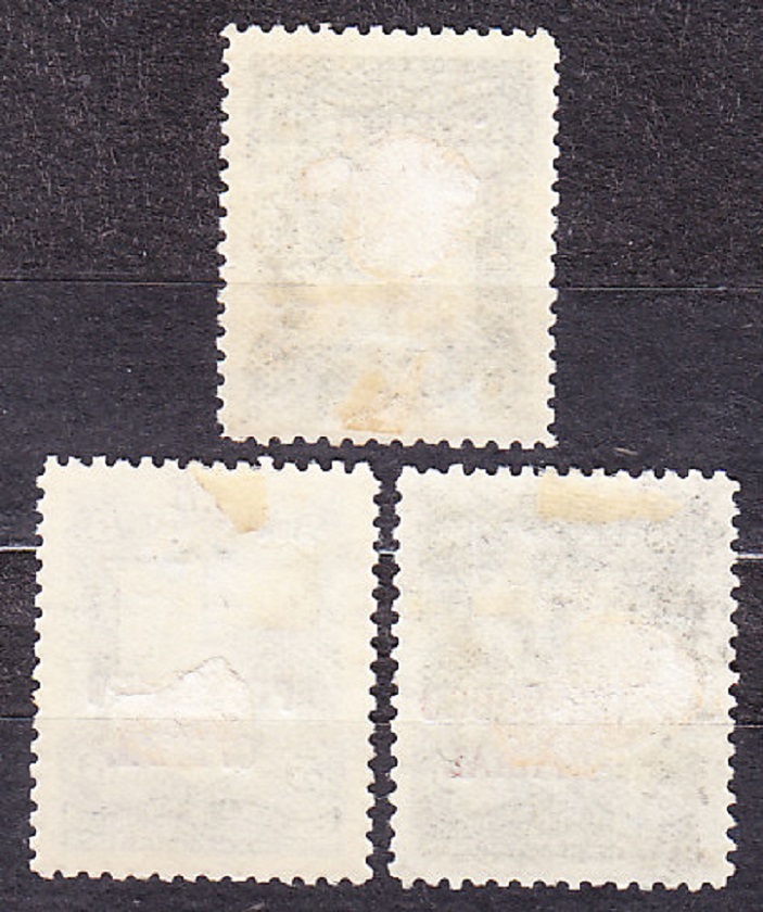 NICARAGUA 1893, Michel 32-33, 37, razené. SLUŽOBNÉ. HORY.