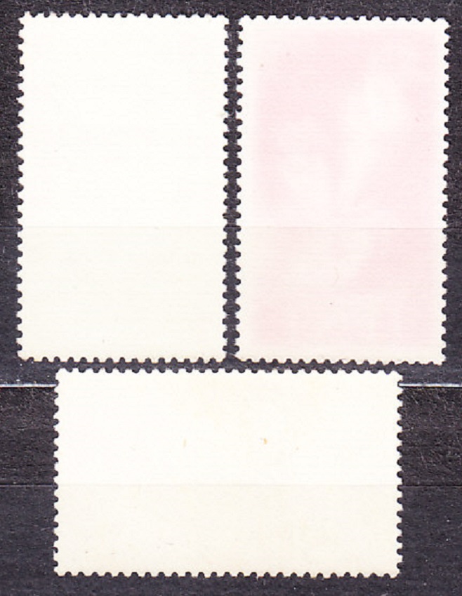 IFNI 1954, Michel 132-134, ** čisté. KOLÓNIE. KVETY, VTÁCTVO.