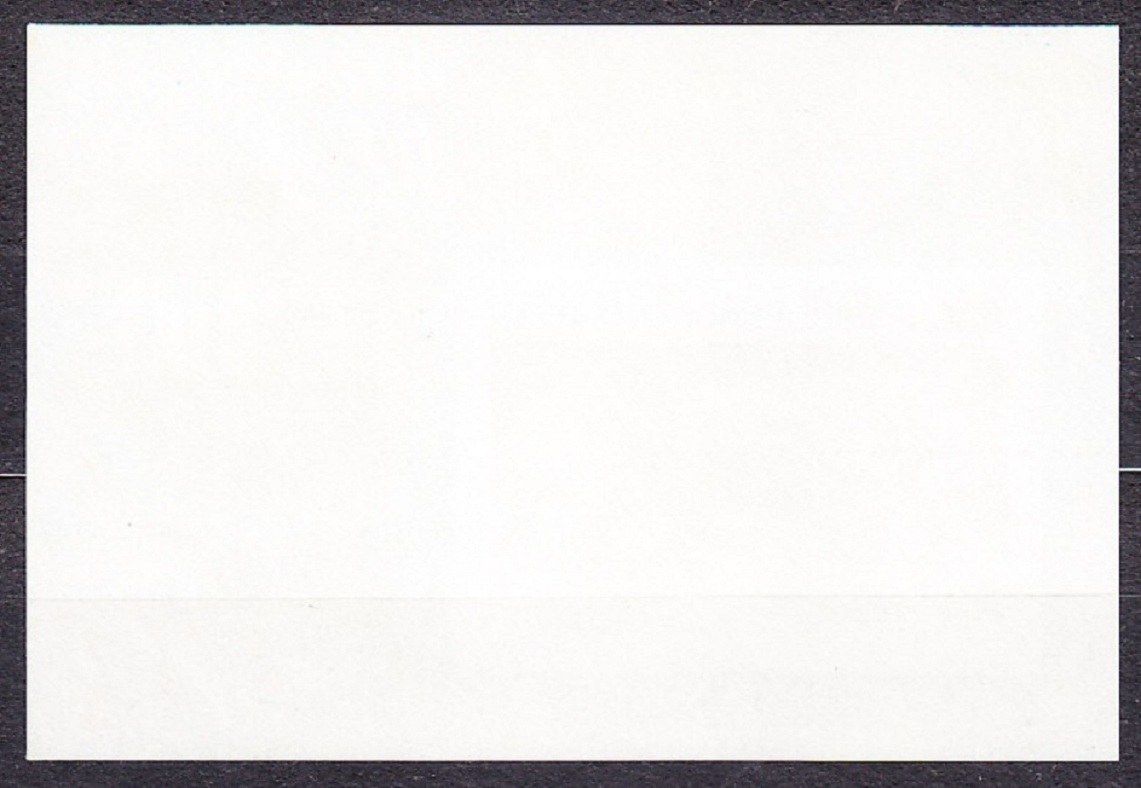 INDONÉZIA 1977, Michel Block 25 B, ** čistý hárček. TIGER.