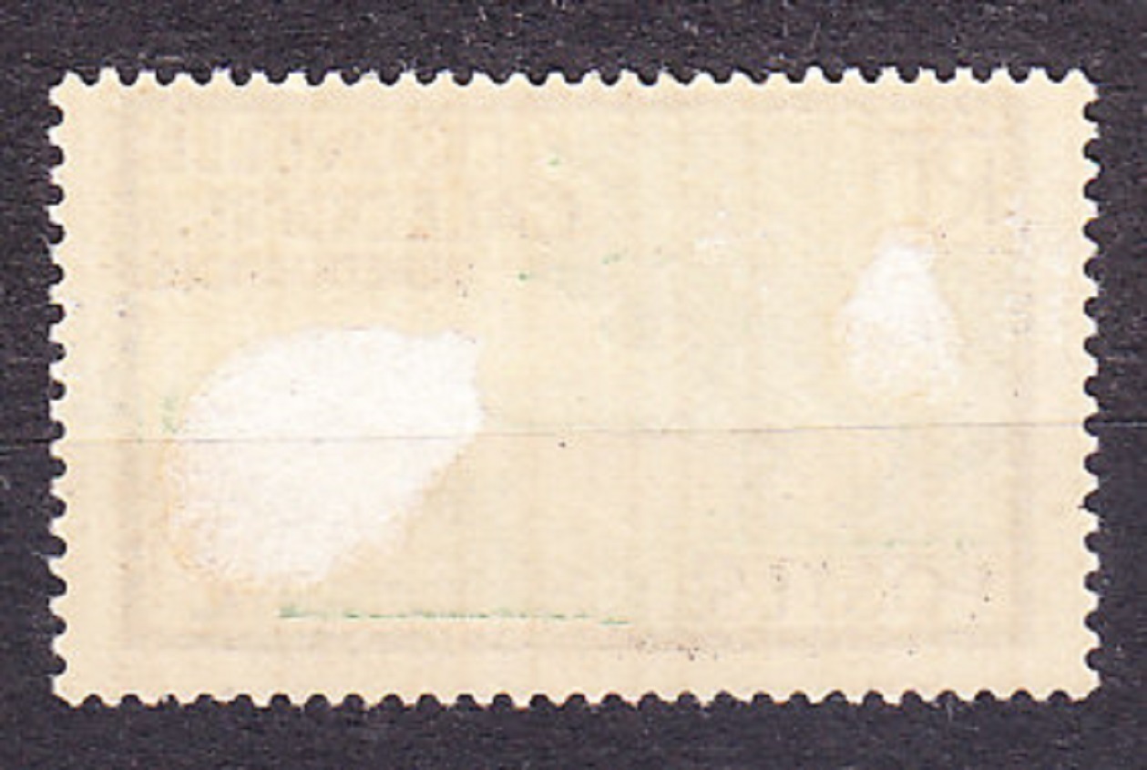 NOVÁ KALEDÓNIA 1928, Michel 137, * čistá. KOLÓNIE. KRAJINY.