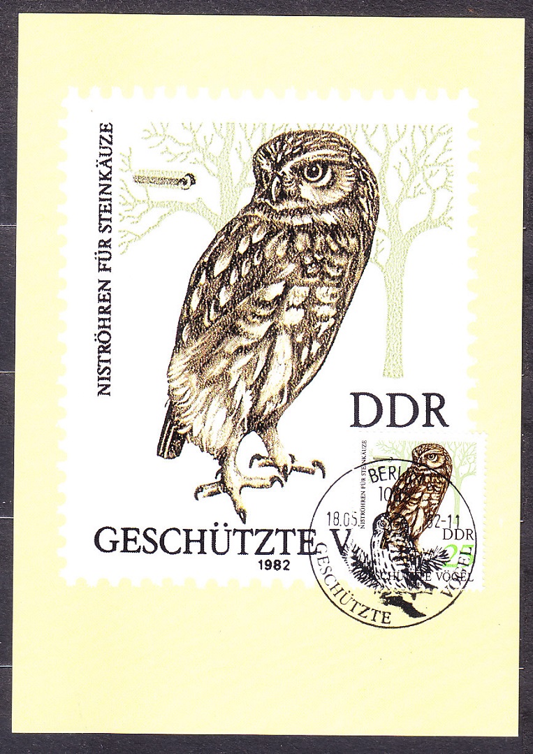 NDR 1982, Michel 2702-2705, kompletná séria - MAXIKARTY. VTÁCTVO - DRAVCE.