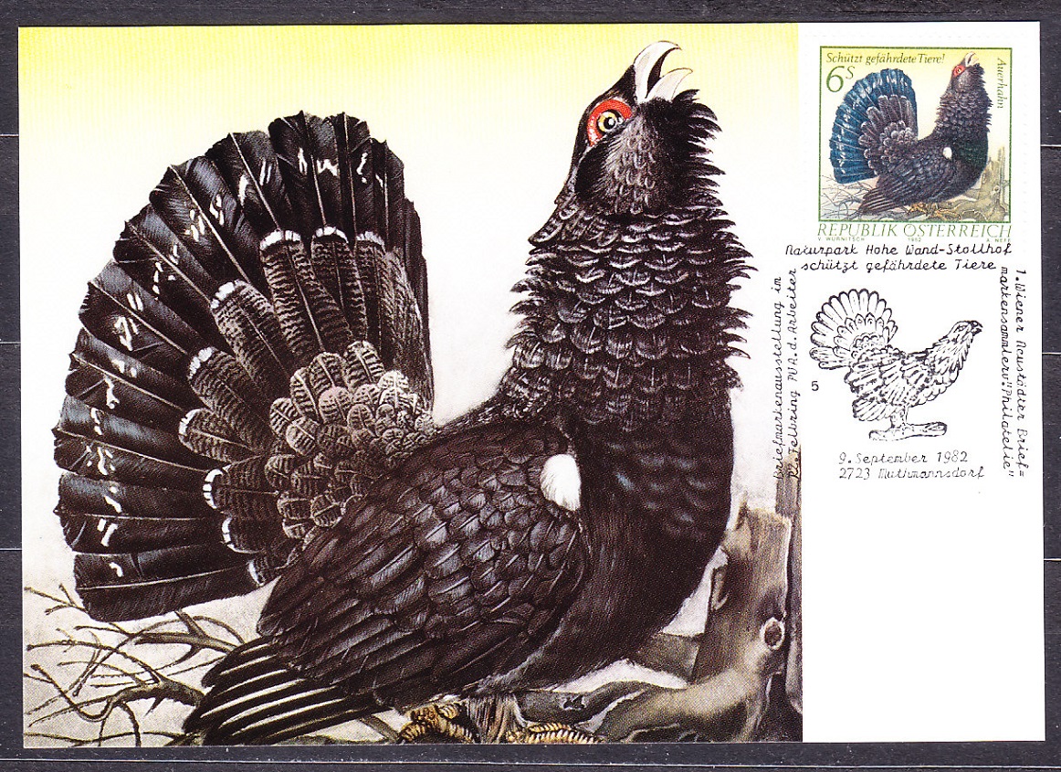 RAKÚSKO 1982, Michel 1717-1719, kompletná séria - MAXIKARTY. CHRÁNENÉ ZVIERATÁ.