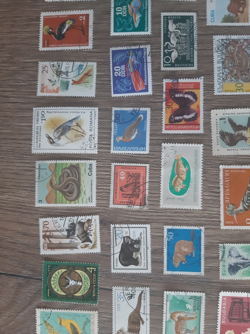 FAUNA, razené známky, každá iná. 100 KS.