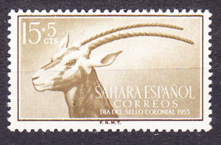 ŠPANIELSKA SAHARA 1955, Michel 155, ** čistá. KOLÓNIE. ANTILOPA.